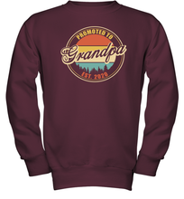 Load image into Gallery viewer, Family Shirt First Time New Grandpa Est 2020 Vintage Youth Sweatshirt
